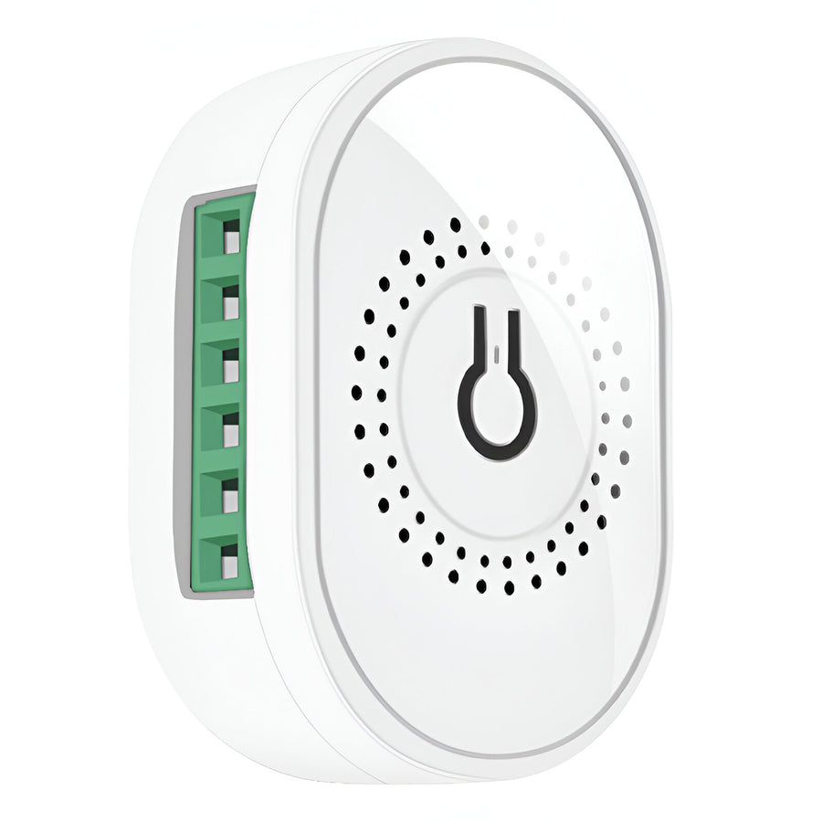 Mini Controlador Modulo Tuya Smart 2 Canales Sm-Tmw02